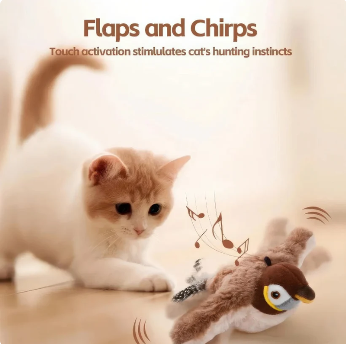 Interactive Cat Toy