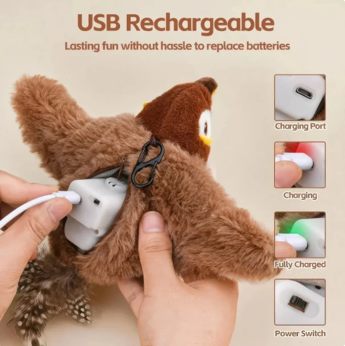Interactive Cat Toy